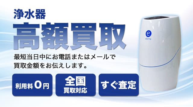 専用Amway 2022年購入 アムウェイ eSpring ちっさ 2 浄水器 II